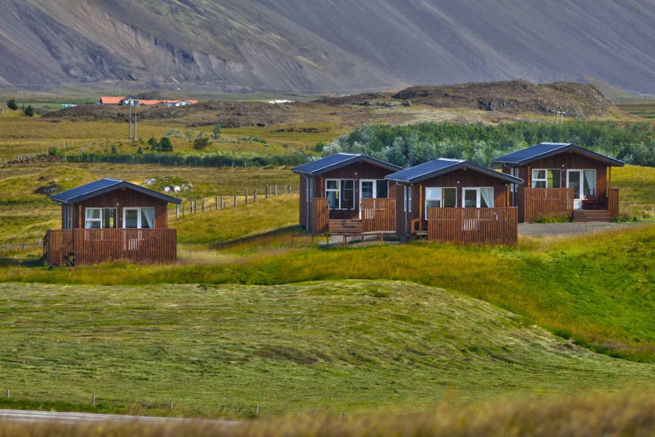 Aurora Cabins Höfn Dış mekan fotoğraf